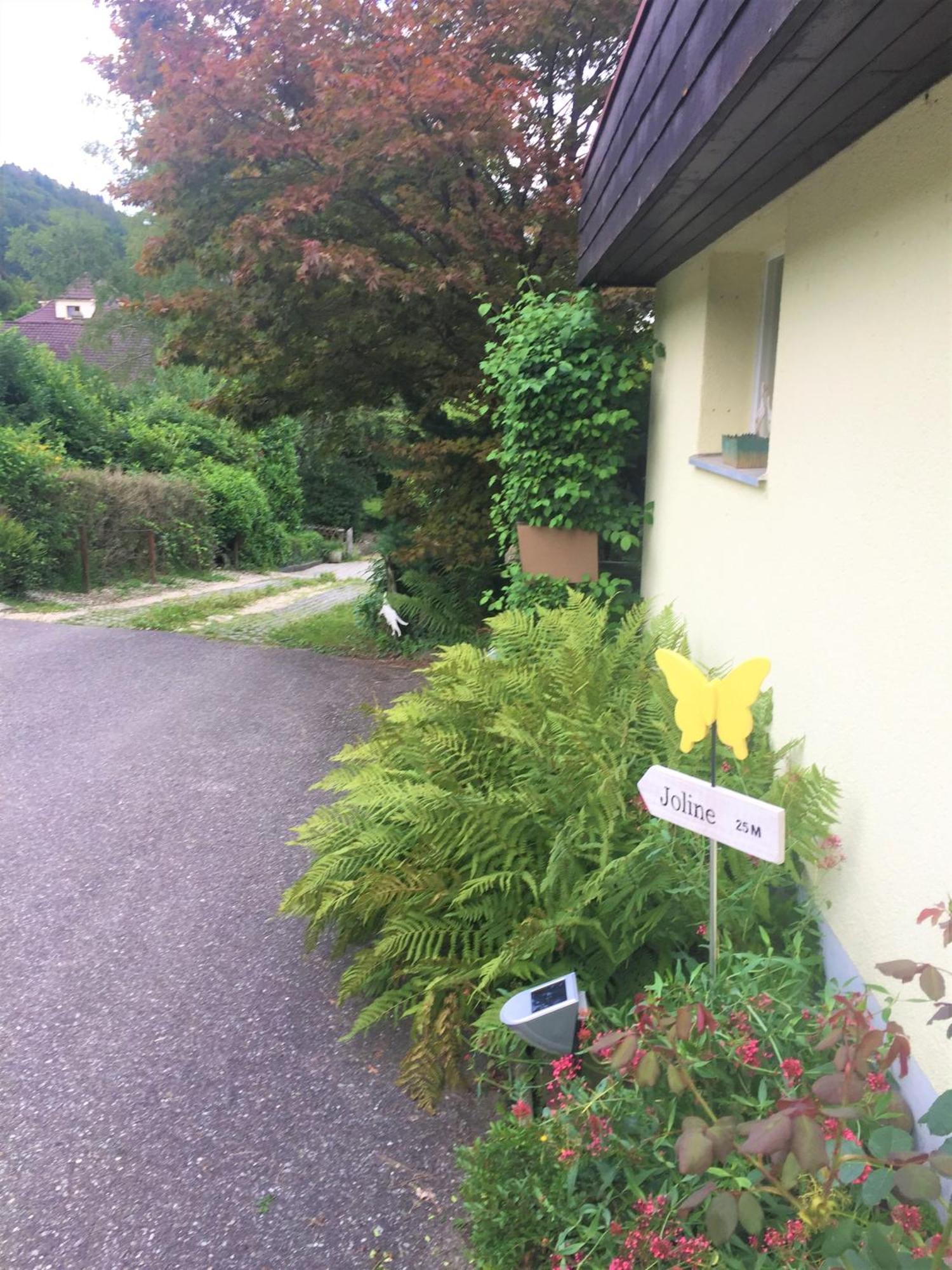 Joline Private Guest Apartment Just Feel At Home Jens المظهر الخارجي الصورة